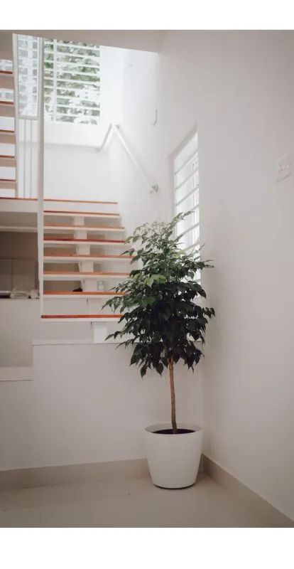 BIM Solutions